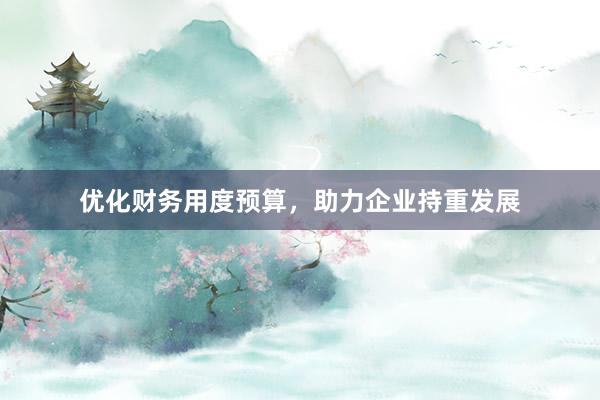 优化财务用度预算，助力企业持重发展
